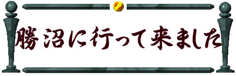 勝沼に行って来ました